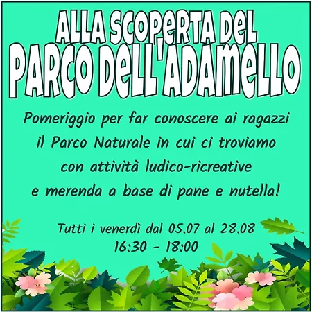 Appartamento Chalet Presanella *
