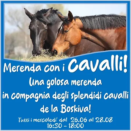 Presanella