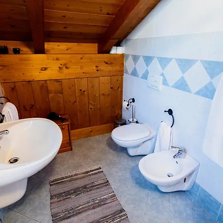 Apartment Presanella Temu