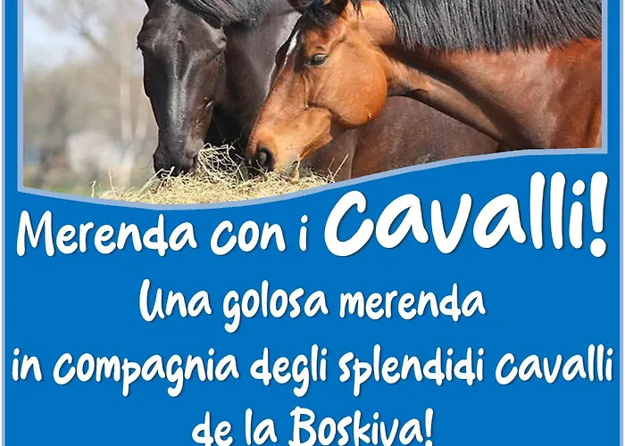 Presanella